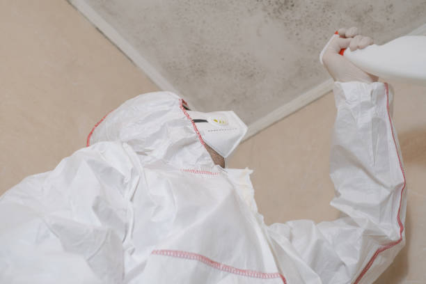 Certified Mold Removal in Bray, OK