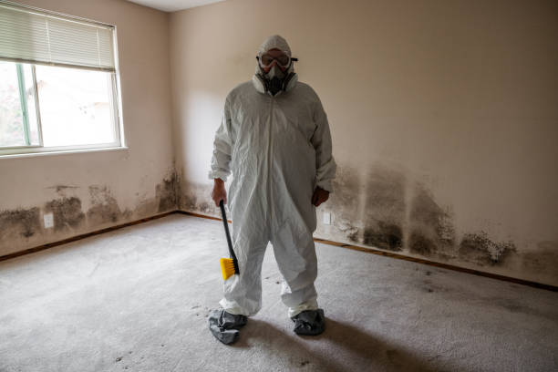 Trusted Bray, OK Mold Removal Experts